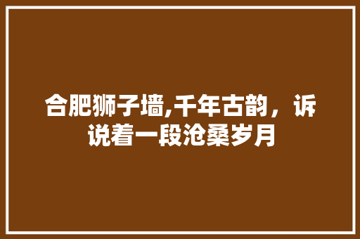 合肥狮子墙,千年古韵，诉说着一段沧桑岁月