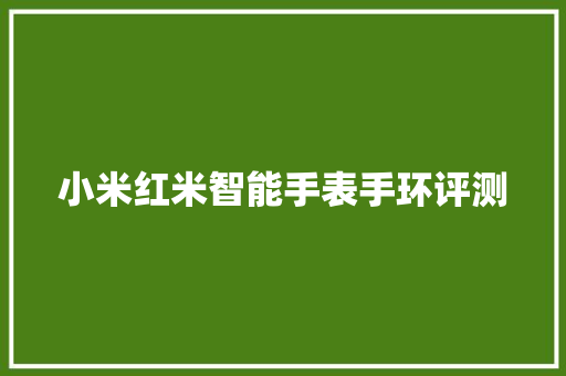 小米红米智能手表手环评测  第1张