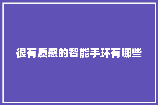 很有质感的智能手环有哪些  第1张