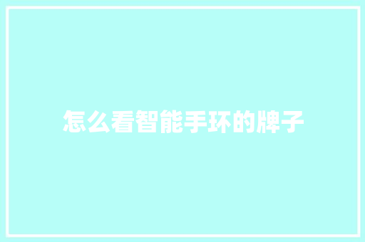 怎么看智能手环的牌子