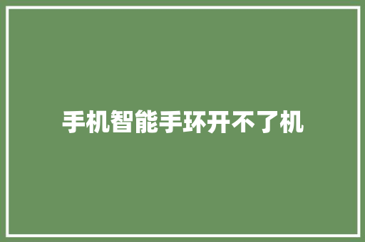 手机智能手环开不了机  第1张