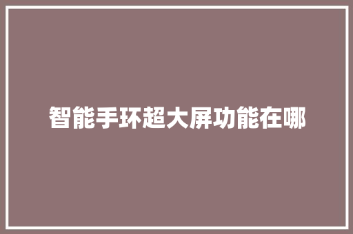 智能手环超大屏功能在哪