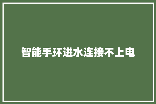 智能手环进水连接不上电