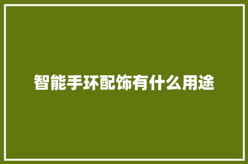 智能手环配饰有什么用途