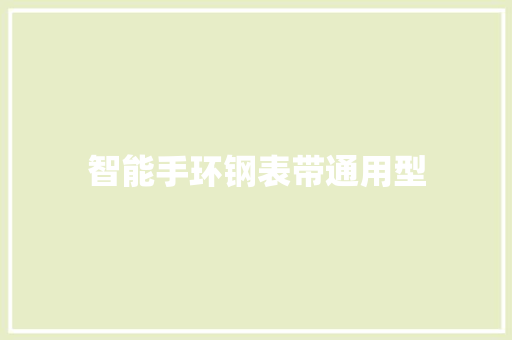 智能手环钢表带通用型