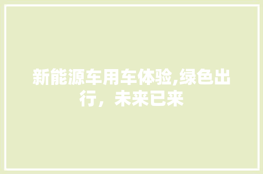 新能源车用车体验,绿色出行，未来已来