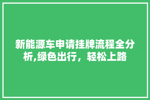 新能源车申请挂牌流程全分析,绿色出行，轻松上路