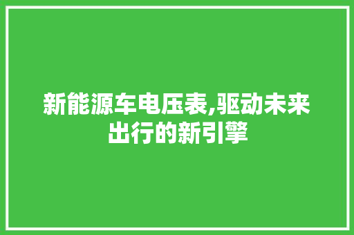 新能源车电压表,驱动未来出行的新引擎