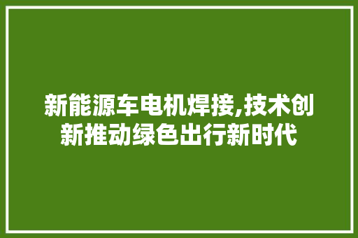 新能源车电机焊接,技术创新推动绿色出行新时代