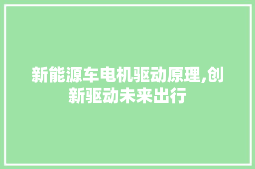 新能源车电机驱动原理,创新驱动未来出行
