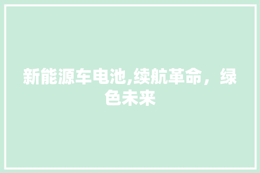 新能源车电池,续航革命，绿色未来