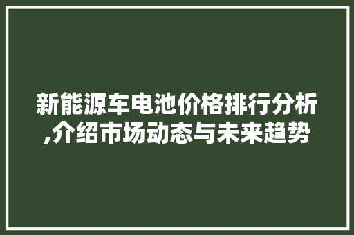 新能源车电池价格排行分析,介绍市场动态与未来趋势  第1张