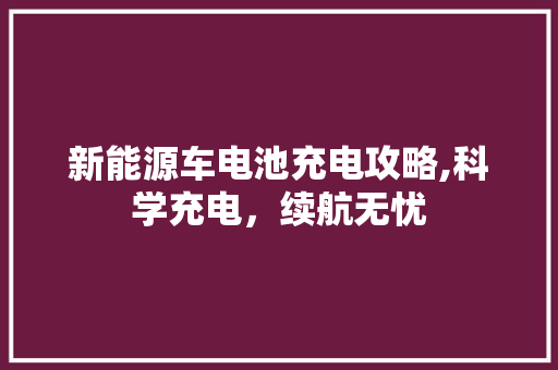 新能源车电池充电攻略,科学充电，续航无忧