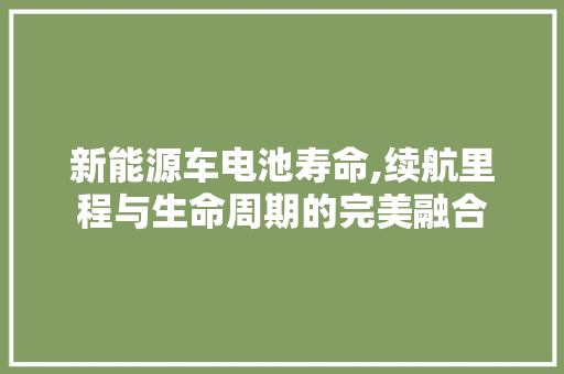 新能源车电池寿命,续航里程与生命周期的完美融合