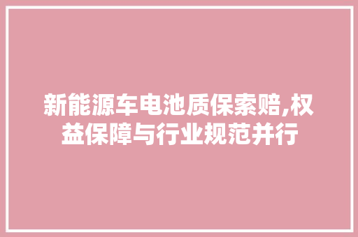 新能源车电池质保索赔,权益保障与行业规范并行  第1张