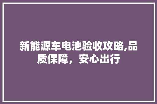 新能源车电池验收攻略,品质保障，安心出行