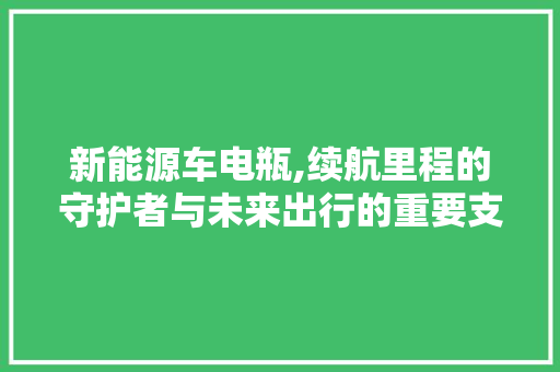 新能源车电瓶,续航里程的守护者与未来出行的重要支撑