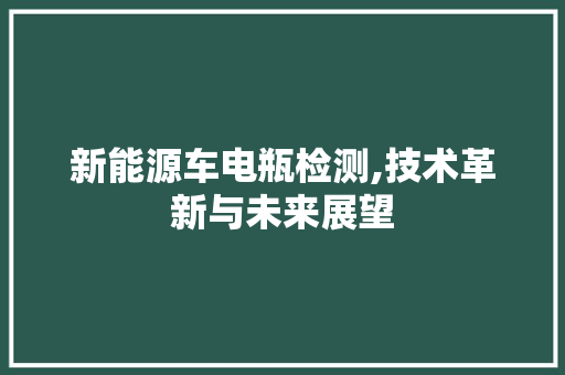 新能源车电瓶检测,技术革新与未来展望  第1张