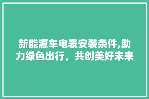 新能源车电表安装条件,助力绿色出行，共创美好未来