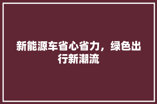 新能源车省心省力，绿色出行新潮流