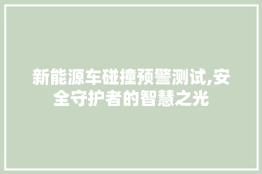 新能源车碰撞预警测试,安全守护者的智慧之光