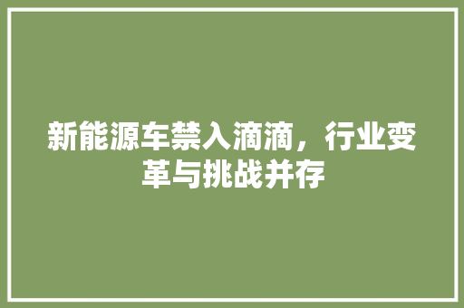 新能源车禁入滴滴，行业变革与挑战并存
