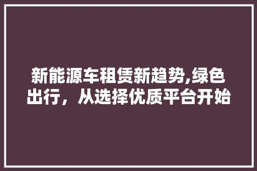 新能源车租赁新趋势,绿色出行，从选择优质平台开始