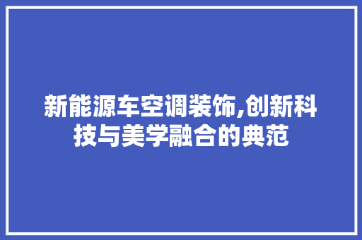 新能源车空调装饰,创新科技与美学融合的典范