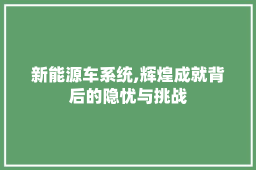 新能源车系统,辉煌成就背后的隐忧与挑战