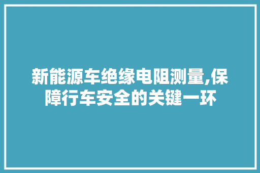 新能源车绝缘电阻测量,保障行车安全的关键一环