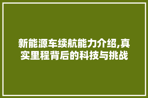 新能源车续航能力介绍,真实里程背后的科技与挑战