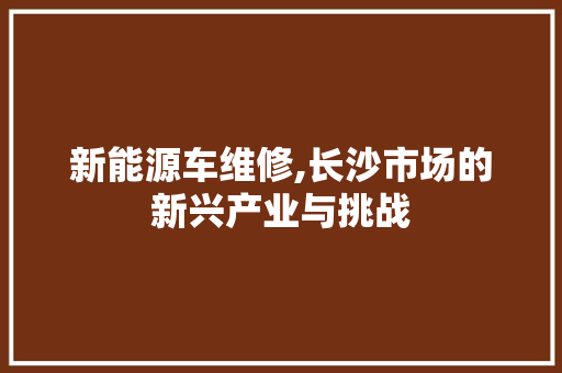 新能源车维修,长沙市场的新兴产业与挑战