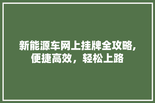 新能源车网上挂牌全攻略,便捷高效，轻松上路