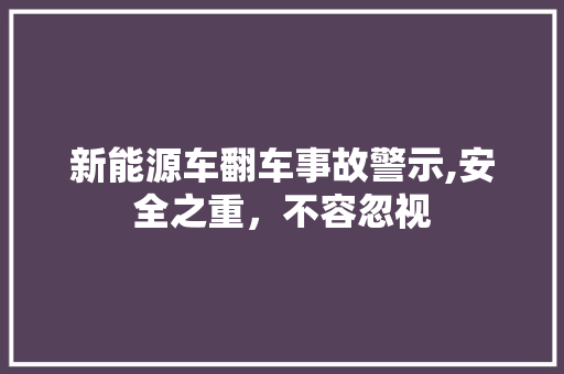 新能源车翻车事故警示,安全之重，不容忽视