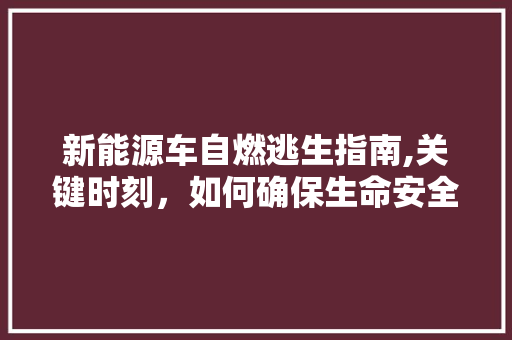 新能源车自燃逃生指南,关键时刻，如何确保生命安全