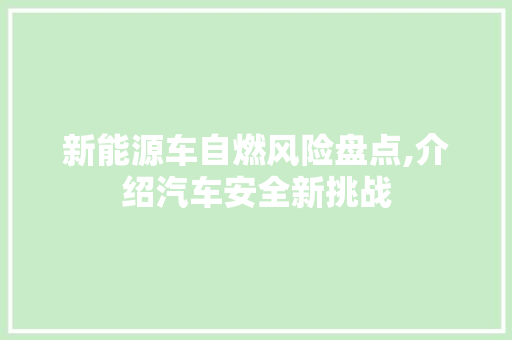 新能源车自燃风险盘点,介绍汽车安全新挑战  第1张