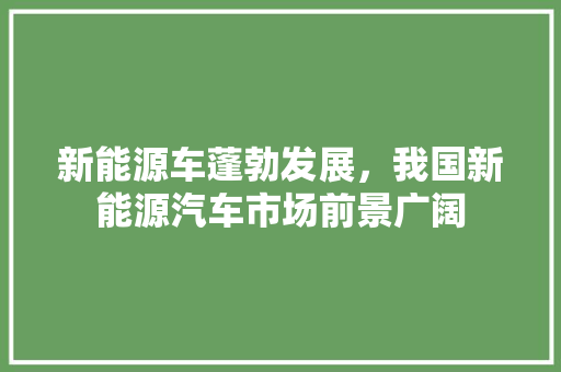 新能源车蓬勃发展，我国新能源汽车市场前景广阔  第1张