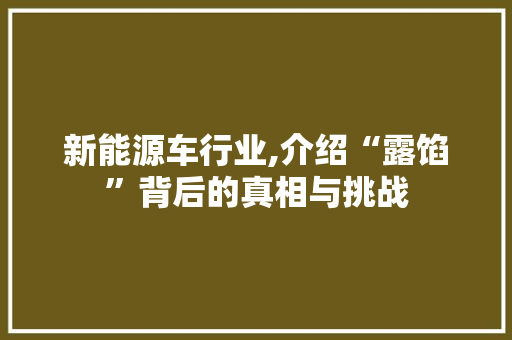 新能源车行业,介绍“露馅”背后的真相与挑战  第1张