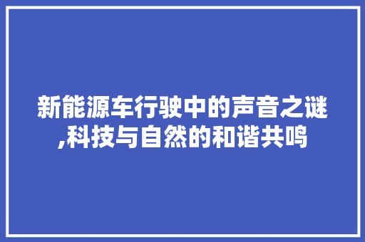 新能源车行驶中的声音之谜,科技与自然的和谐共鸣