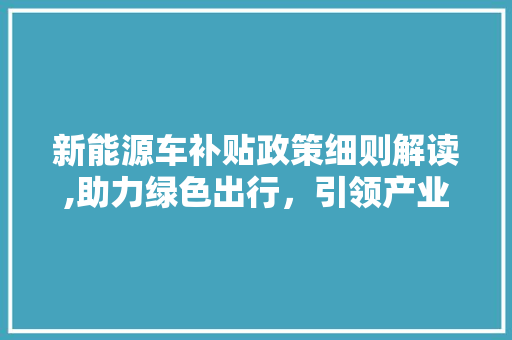 新能源车补贴政策细则解读,助力绿色出行，引领产业升级