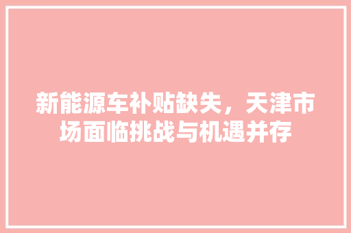 新能源车补贴缺失，天津市场面临挑战与机遇并存