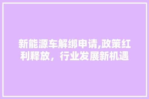 新能源车解绑申请,政策红利释放，行业发展新机遇