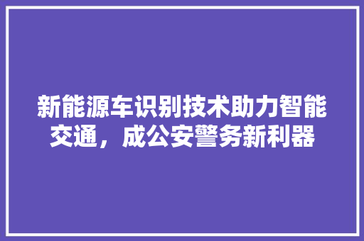 新能源车识别技术助力智能交通，成公安警务新利器