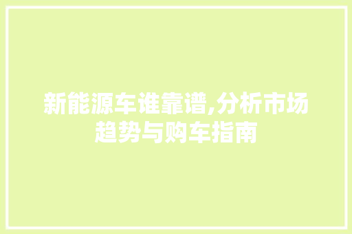 新能源车谁靠谱,分析市场趋势与购车指南