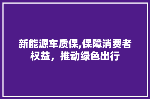 新能源车质保,保障消费者权益，推动绿色出行