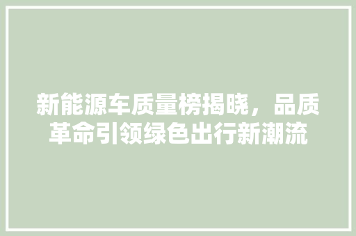 新能源车质量榜揭晓，品质革命引领绿色出行新潮流