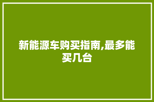 新能源车购买指南,最多能买几台