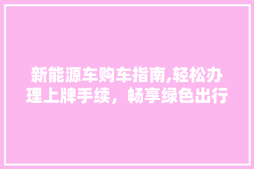 新能源车购车指南,轻松办理上牌手续，畅享绿色出行