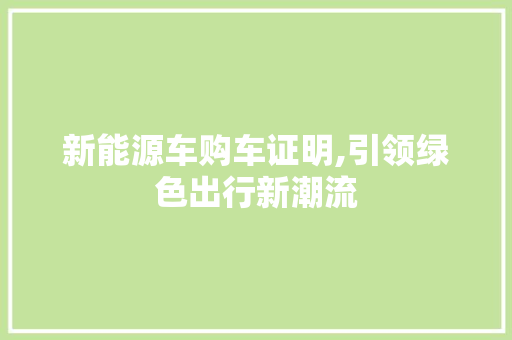 新能源车购车证明,引领绿色出行新潮流