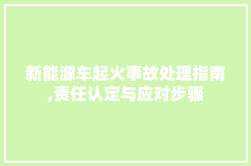 新能源车起火事故处理指南,责任认定与应对步骤